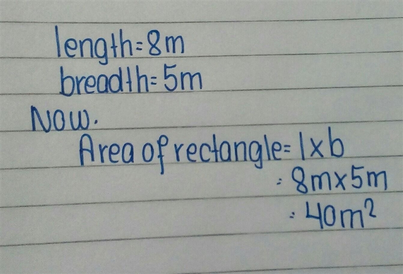 A rectangular carpet is 5m wide and 8m long. Find the area of the carpet in square-example-1