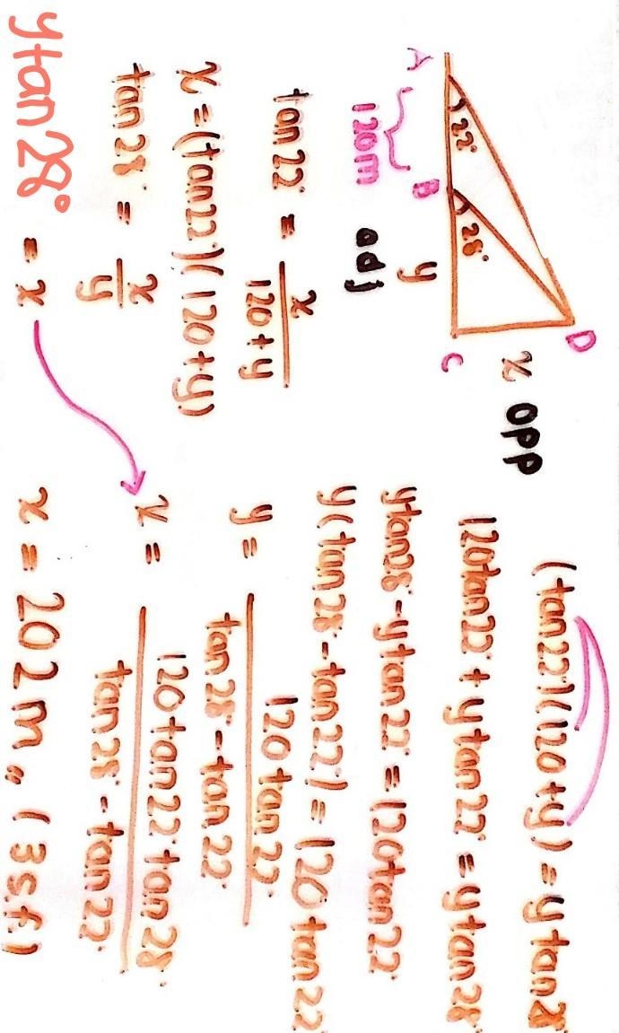 If you're good at angles of elevation pls help meeee Adam notices that the angle of-example-1