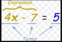 Which of these are NOT expressions? x 1=z x=1 1 x+z-example-1