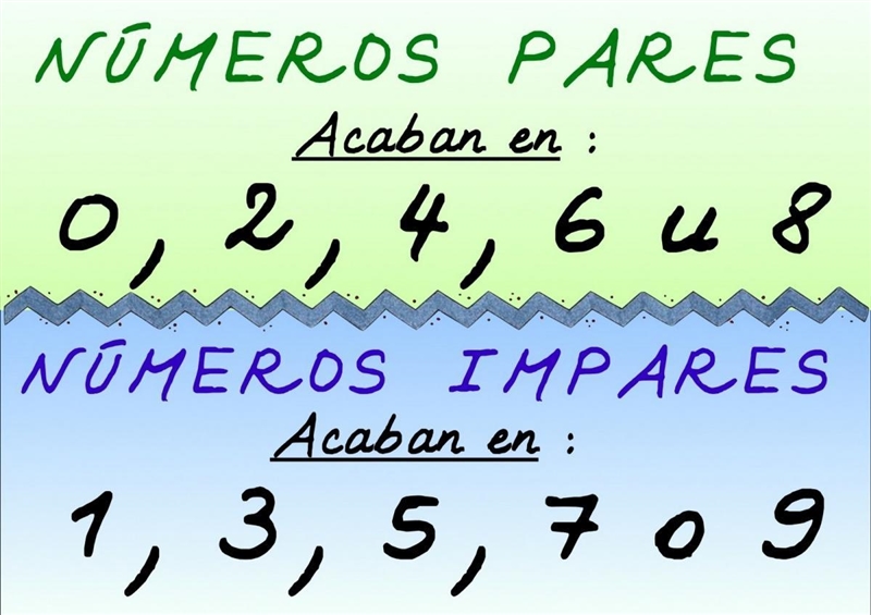 Can anyone teach me on prime, odd and even numbers? I get confused sometimes​-example-2