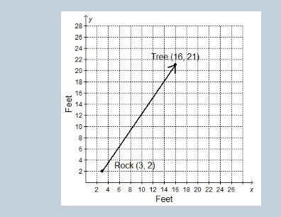 On a coordinate plane, a line is drawn from Rock to Tree. The x- and y-axes are labeled-example-1