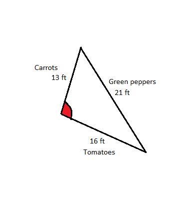 A farmer plants a 16-foot row of tomatoes 13-foot row of carrots and a 21-foot row-example-1