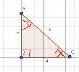 If angle X and Y are complementary angles, which of the following must be true? A-example-1