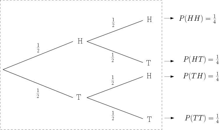 Lola tossed a coin twice. She made a tree diagram to show the possible outcomes. Which-example-1