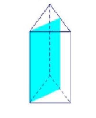 A triangular prism was perpendicular to its bases and through a vertex. What is the-example-1