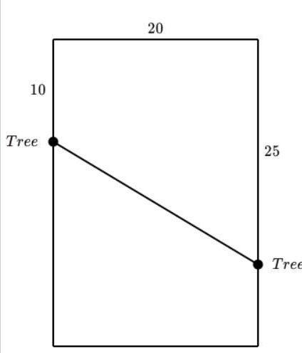 Ryan is putting a clothesline in his rectangular backyard. He wants to put it between-example-1