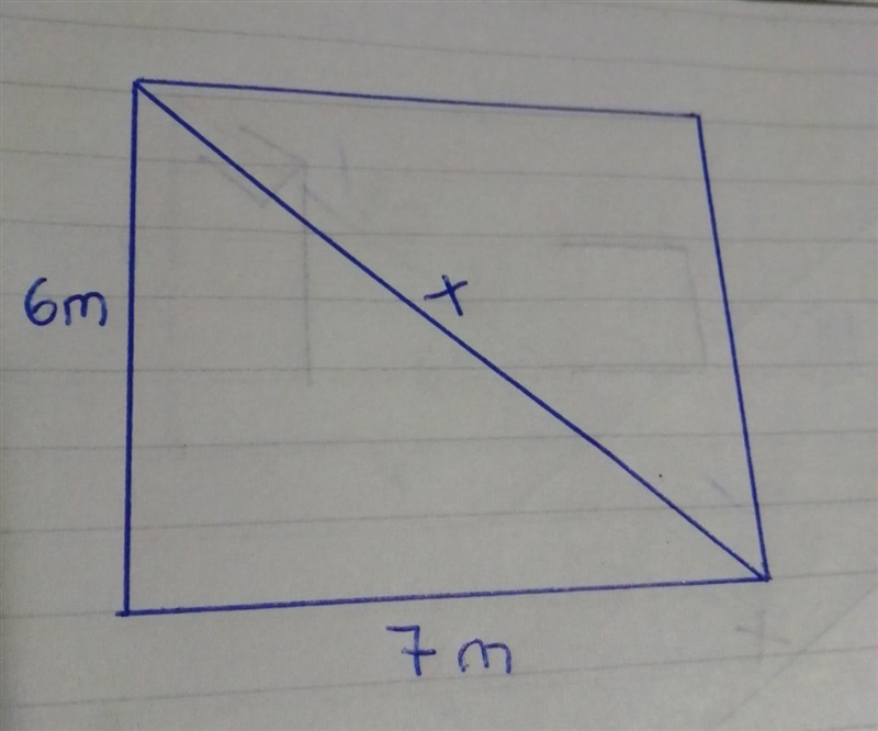 A gopher dug holes in opposite corners of a rectangle yard. If the yard is 7 meters-example-1