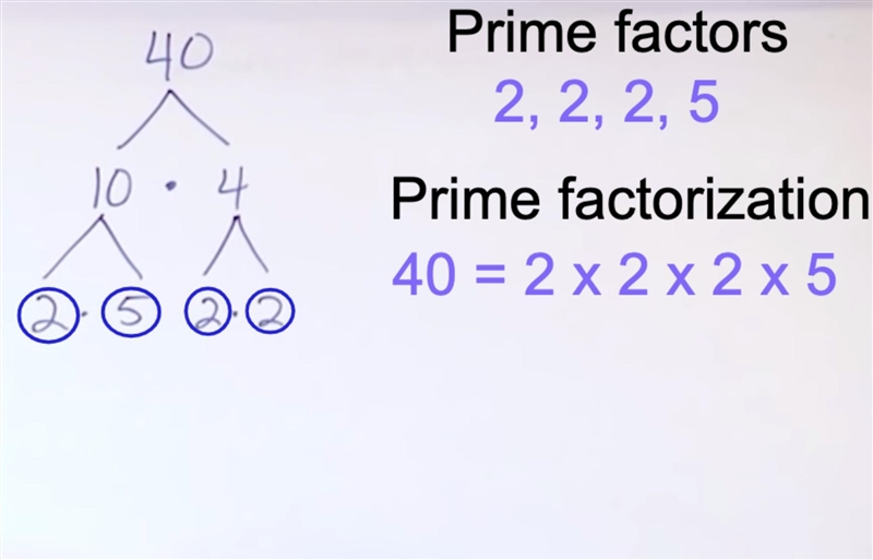 Prime factorization for 40-example-1