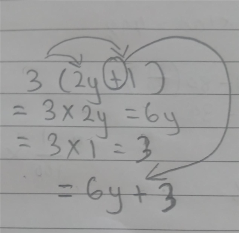 How do I expand 3(2y+1)-example-1