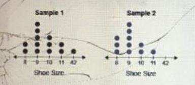 20. A shoe store owner had an employee record the shoe sizes purchased by customers-example-1