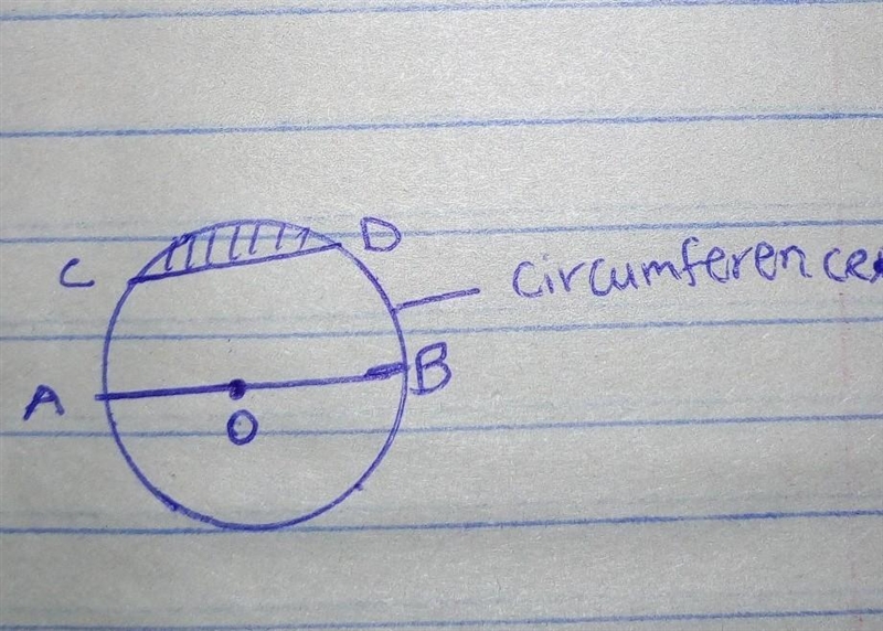 Difference between the radius, the diameter, and a chord in a circle-example-1