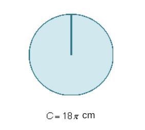 What is the radius of this circle if the circumference is 18 pi cm?-example-1