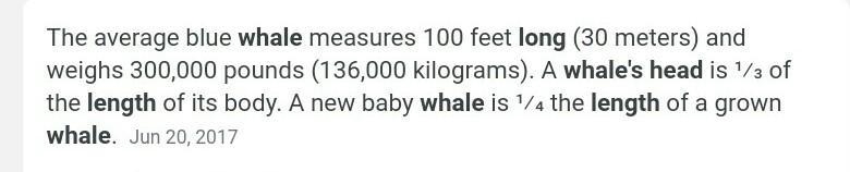 1. How long is a whales head?-example-1