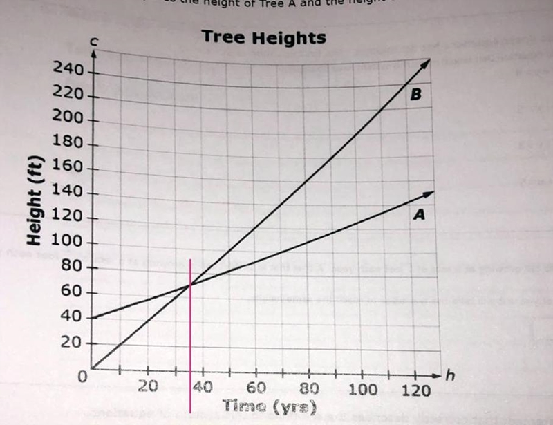 Need help with this ASAP. Anything is appreciated:))-example-1