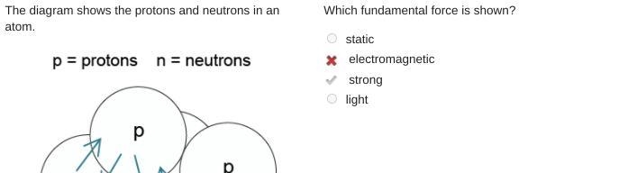 The diagram shows the protons and neutrons in an atom. Which fundamental force is-example-1