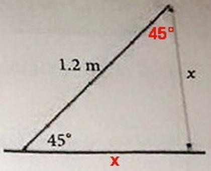 Need help please math questions # 12 and 14-example-1