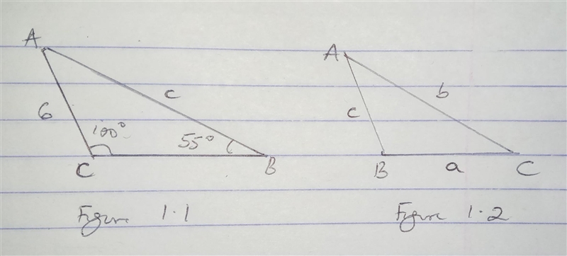 In triangle ABC, m∠B = 55, m∠C = 100, and AC = 6. To the nearest tenth, what is the-example-1