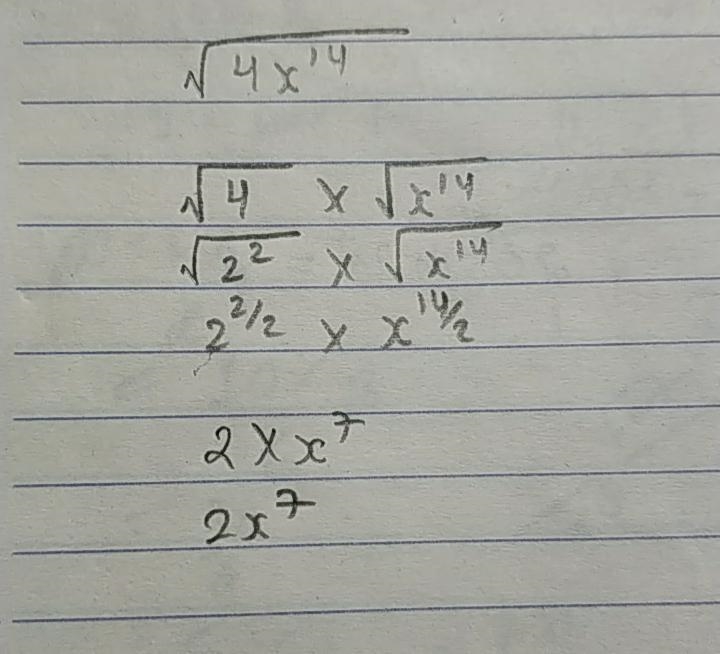 \sqrt{4x^(14) simplify this radical expression-example-1