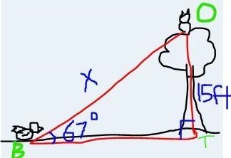 Fred the owl is looking down at a 67° angle from the top of a tree that is 15 ft tall-example-1