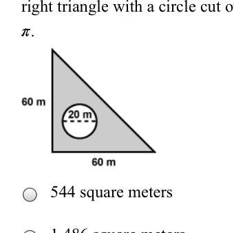 Find the approximate area of the shaded region below, consisting of a right triangle-example-1