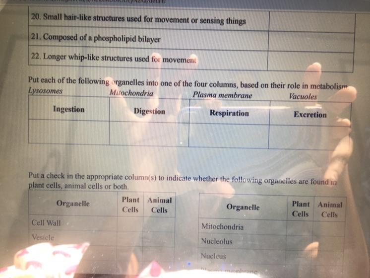 I’m so confused please help me And don’t use my question for stupid points because-example-1