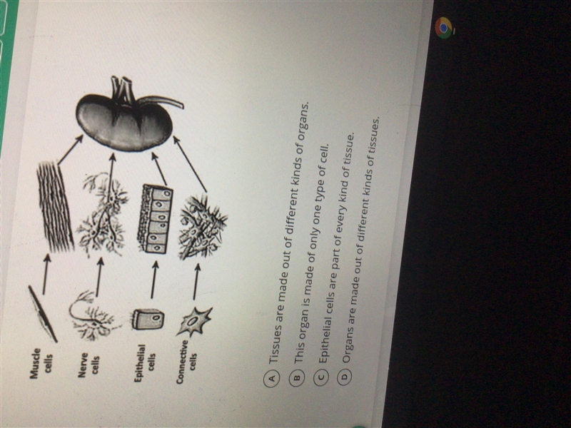 Which of the following is supported by the figure below-example-1