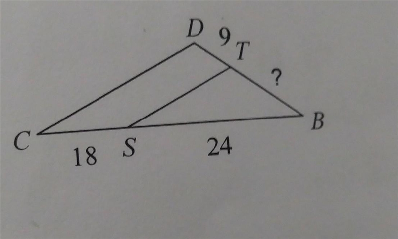 Can someone help me with this. (find the missing length. The triangles in each paor-example-1