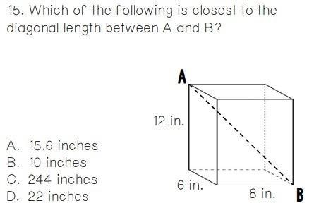 A)15.6 inches B)10 inches C)244 inches D)22 inches plz help asap!-example-1