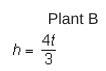 A botanist uses the representations below to show the heights in inches, h, of different-example-2