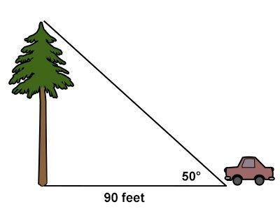 Express the height of the tree in terms of trigonometric ratios. A) 50tan90° B) 50sin-example-1