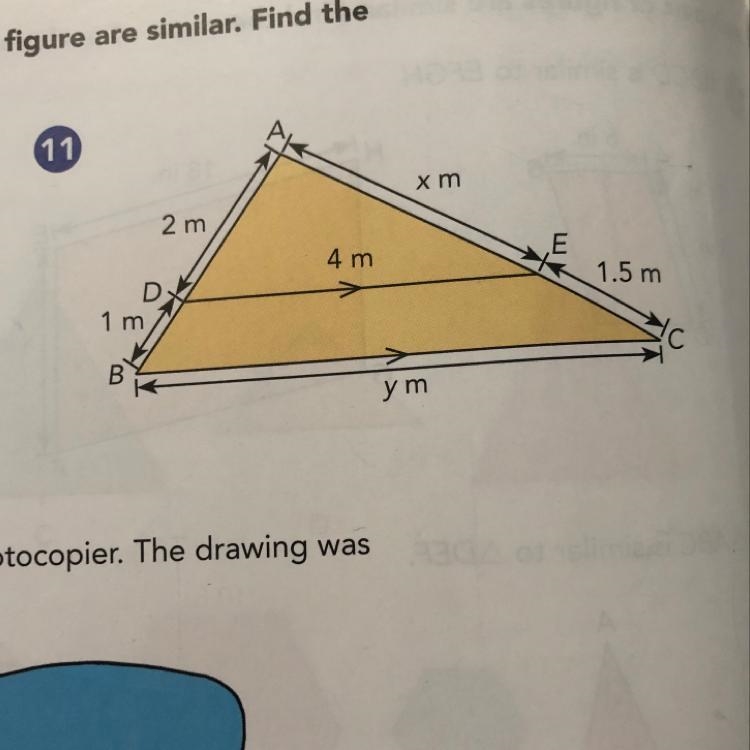 Explain, with a test, why the two triangles in each figure are similar. Find the unknown-example-1