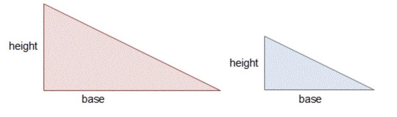 Which is the scale factor proportion for the reduction?-example-2