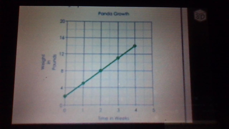 PLEASE HELP NO ONE HELPING ONG Which panda will weigh more at 5 weeks? Write the equation-example-2