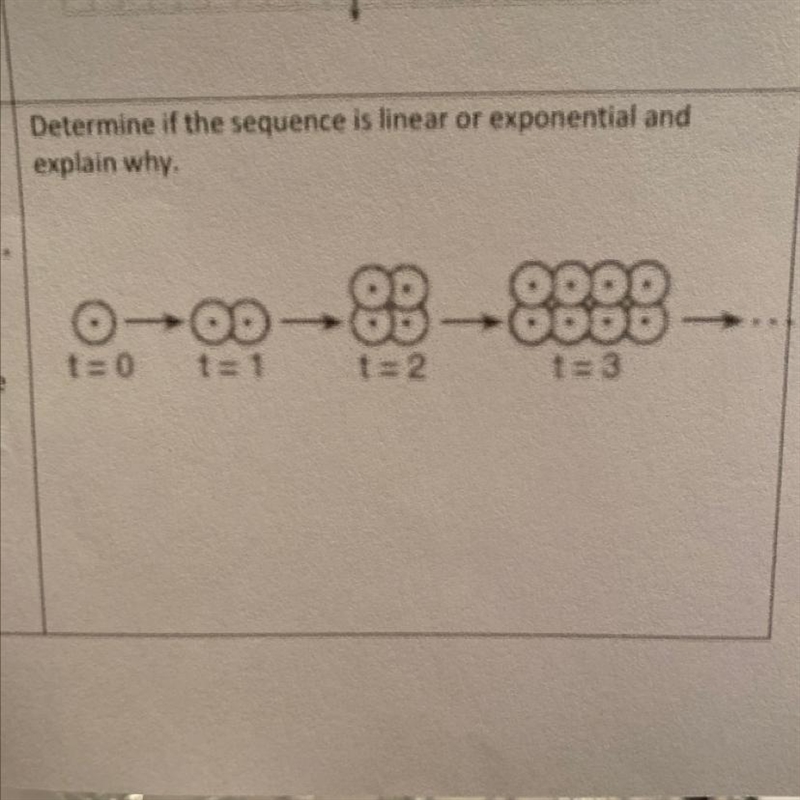 Please help me out with this Algebra 1 question-example-1