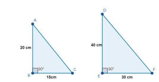 PLEASE HELP 100 POINTS A sculptor is planning to make two triangular prisms out of-example-1