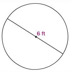 Find the area of the circle. Round to the nearest tenth.-example-1