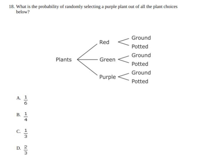 What is the probability of randomly selecting a purple plant out of all the plant-example-1