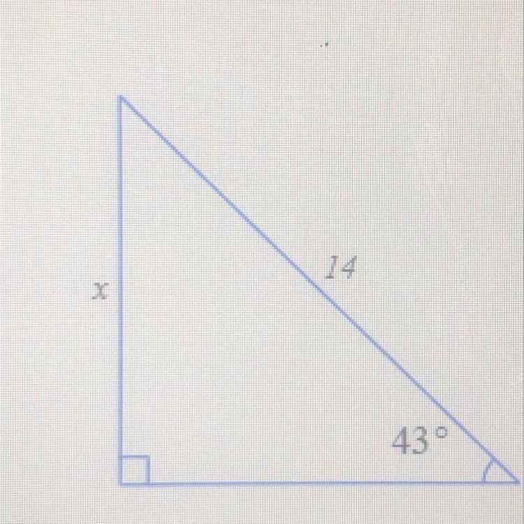 Solve for x in the triangle. Round your answer to the nearest tenth.-example-1