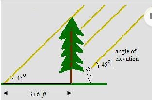 OKK 90 POINTS!!!! HURRY PLZZZ!!! 1. A tree casts a shadow that is 35.6 feet long. At-example-1