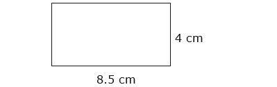 laurie will draw a scale model of the garden she wants to plant. Her scale will be-example-1