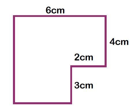 What is the perimeter??-example-1