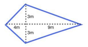 Area of A Kite Please-example-1