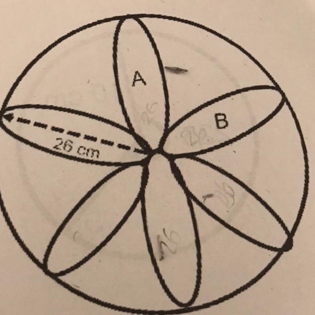 SOS PLEASE HELP WITH THIS QUESTION A 6 petal flower separates this circle into 6 equal-example-1