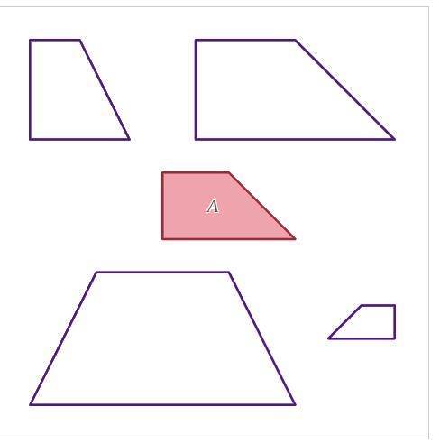 Click on the figures that you think are similar to figure A-example-1