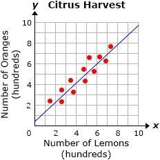 The scatter plot shows the number of oranges picked, in hundreds, in relation to the-example-1