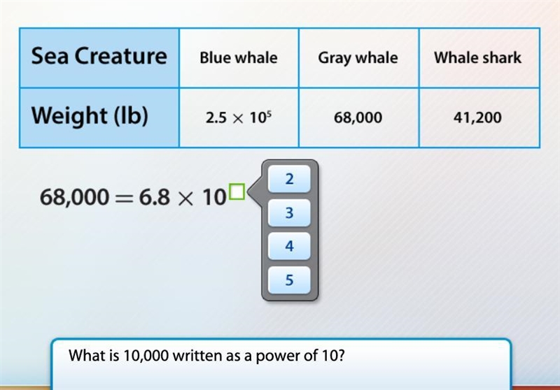 Help please thanks!!!-example-1