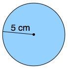 What is the diameter of this circle? A) 2.5 cm B) 3.14 cm C) 5 cm D) 10 cm-example-1