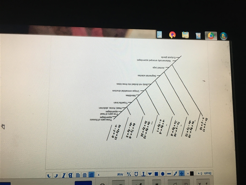 Create a cladogram that depicts the relationships among species A through species-example-5