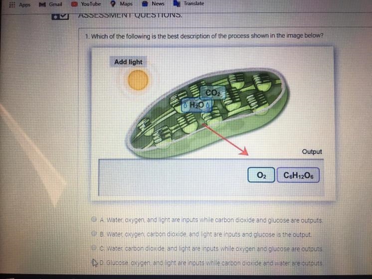 1. Which of the following is the best description of the process shown in the image-example-1