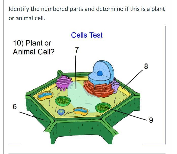 Identify the numbered parts and determine if this is a plant or animal cell. i have-example-1